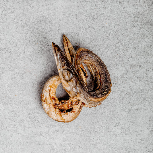 Dried Barracuda Fish (Nigeria)