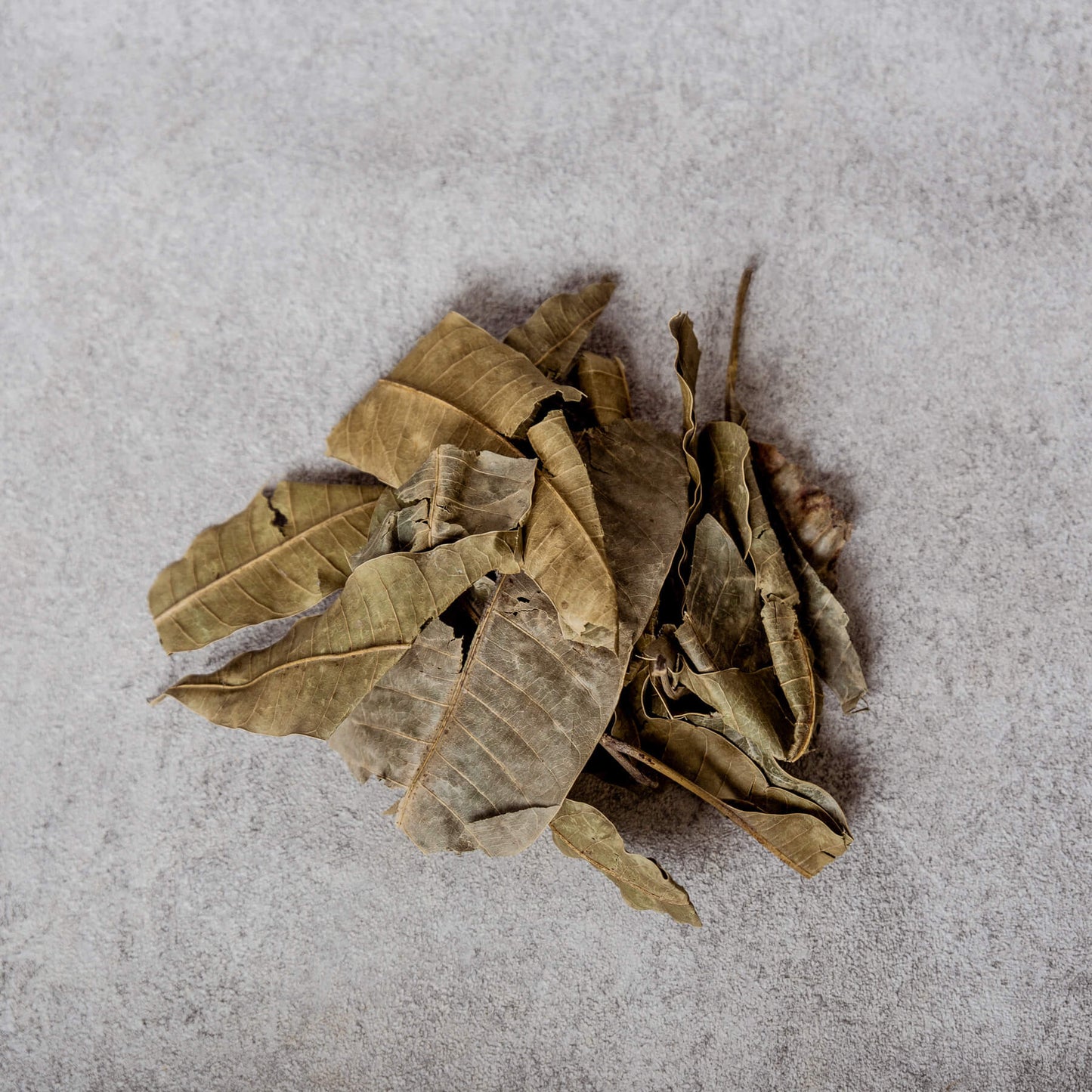 Dried Mango Leaves (Cote d'Ivoire)