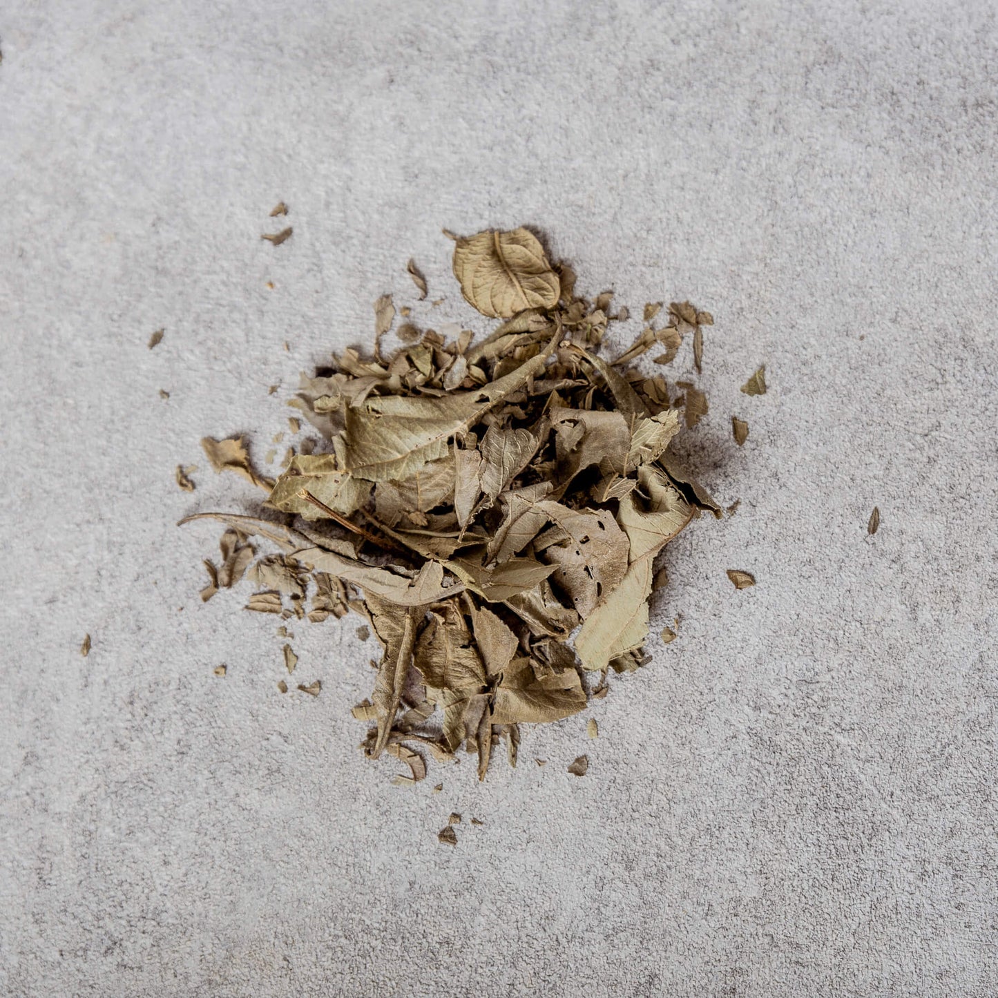 Kinkeliba Leaves (Cote d’ Ivoire 🇨🇮)