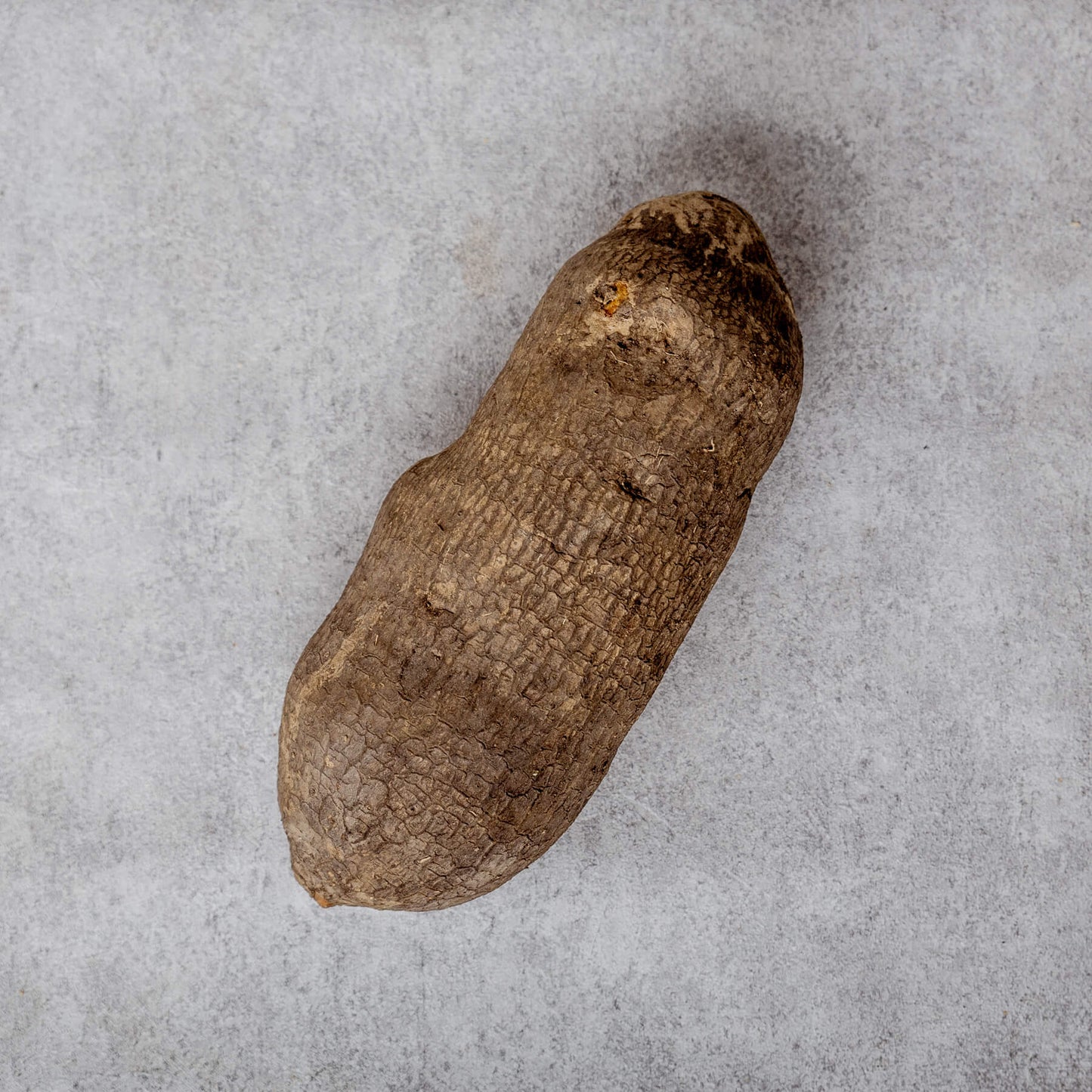 Water Yam (Nigeria 🇳🇬)