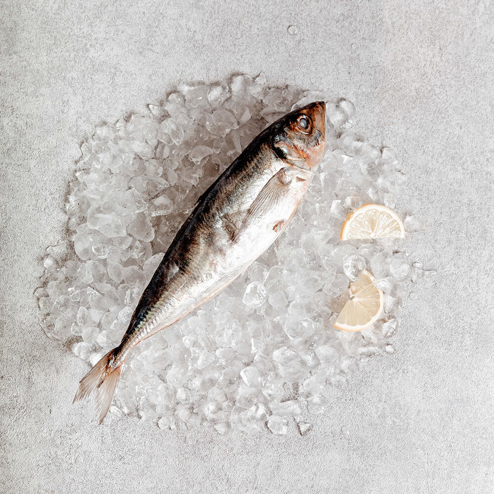 Horse Makrele 300/500g