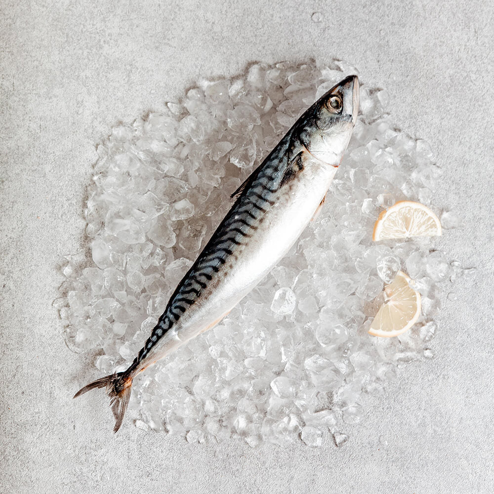 Gefrorene Makrele 300/500g