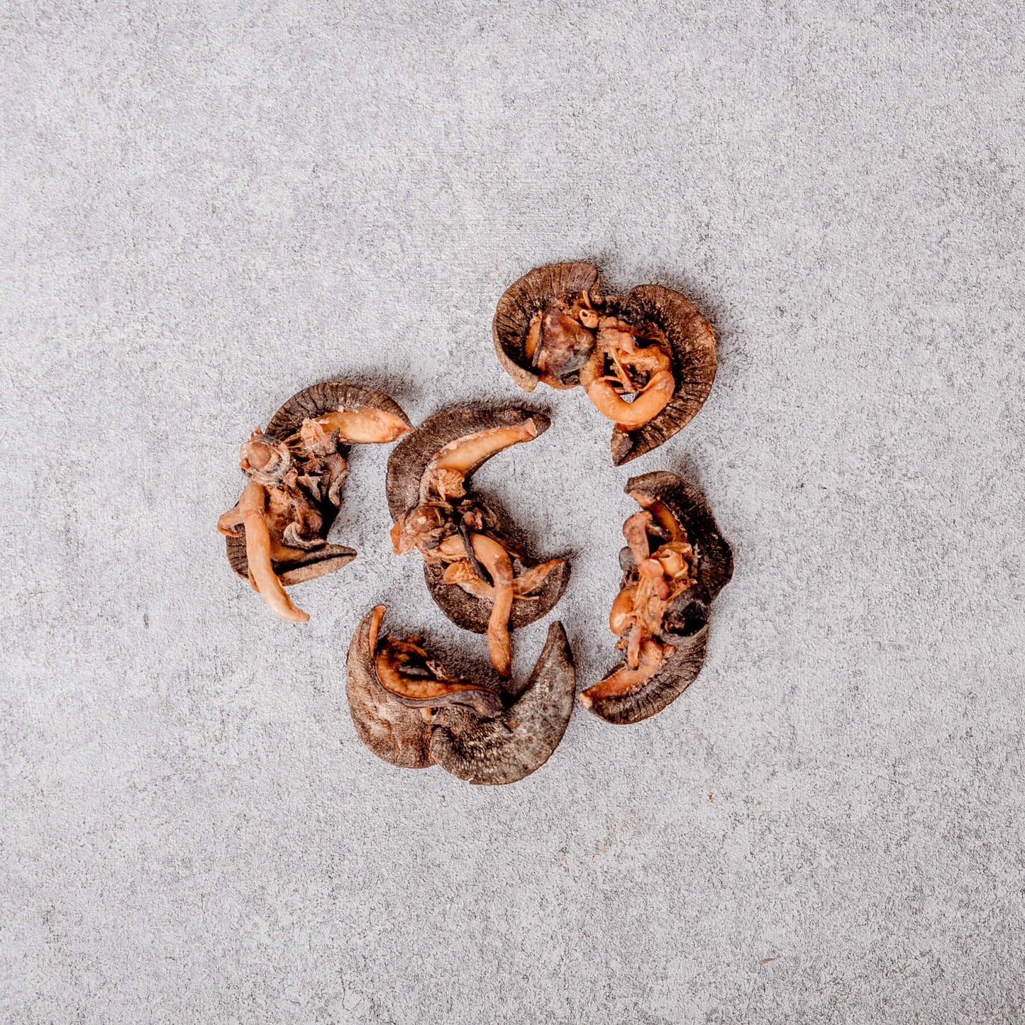 Dried Snails - Large