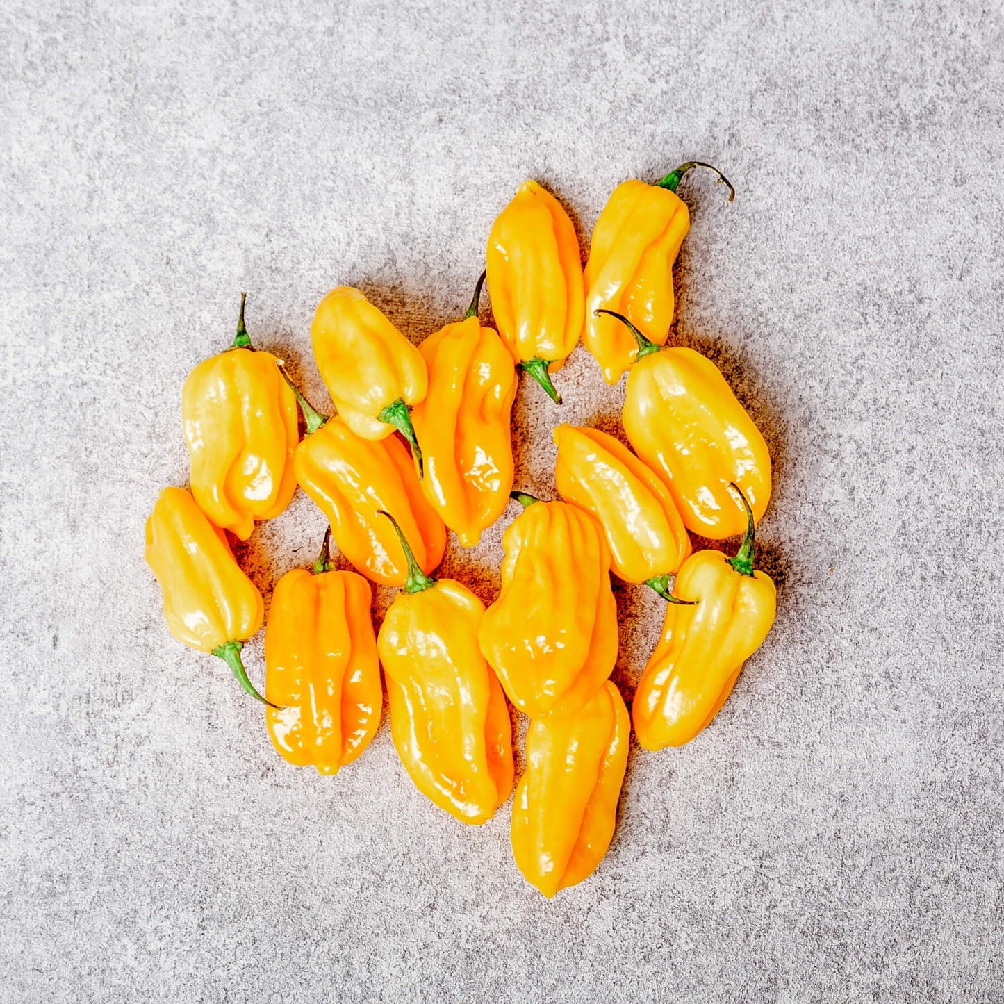 500g gelbe Habanero Chili – Frisch