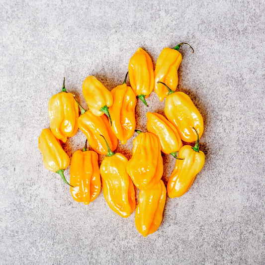500g gelbe Habanero Chili – Frisch