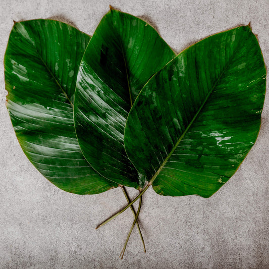 Moi Moi Leaves (5 Pieces)