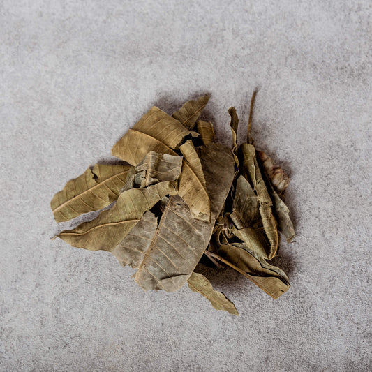 Dried Mango Leaves (Cote d'Ivoire)