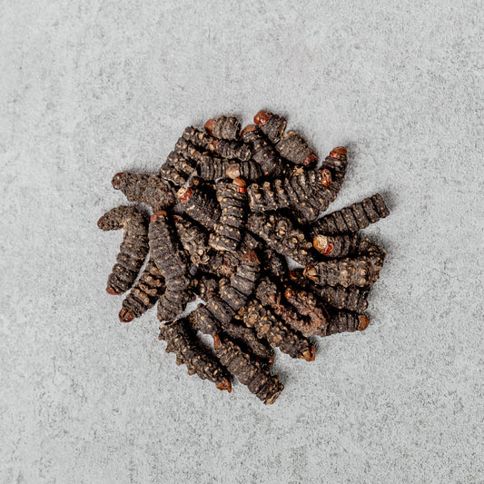 Dry Congo MBINZO (big size)