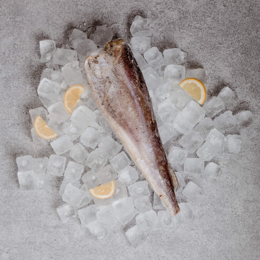 Hake/Merluza Fish (Panla Fish)