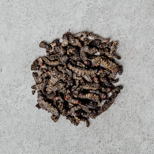 Dry Congo MBINZO (small size)