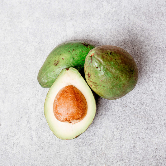 African Avocado