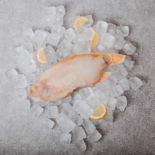 Roter Tilapia