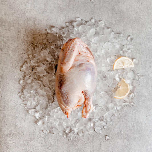 Suppenhuhn