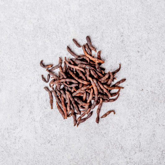 Black African Pepper (Selim Pepper/Hwentia)