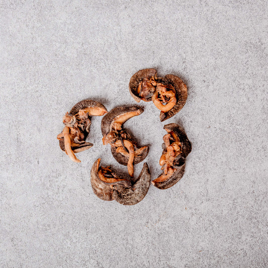 Dried Snails - Large