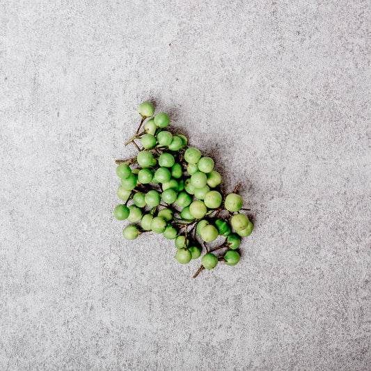 Wild Eggplant - Konsusua